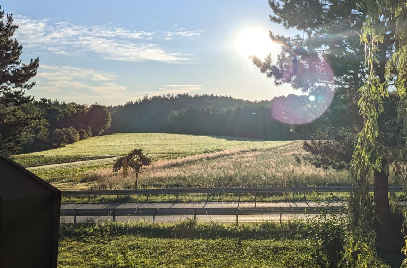 mh Sonntag5